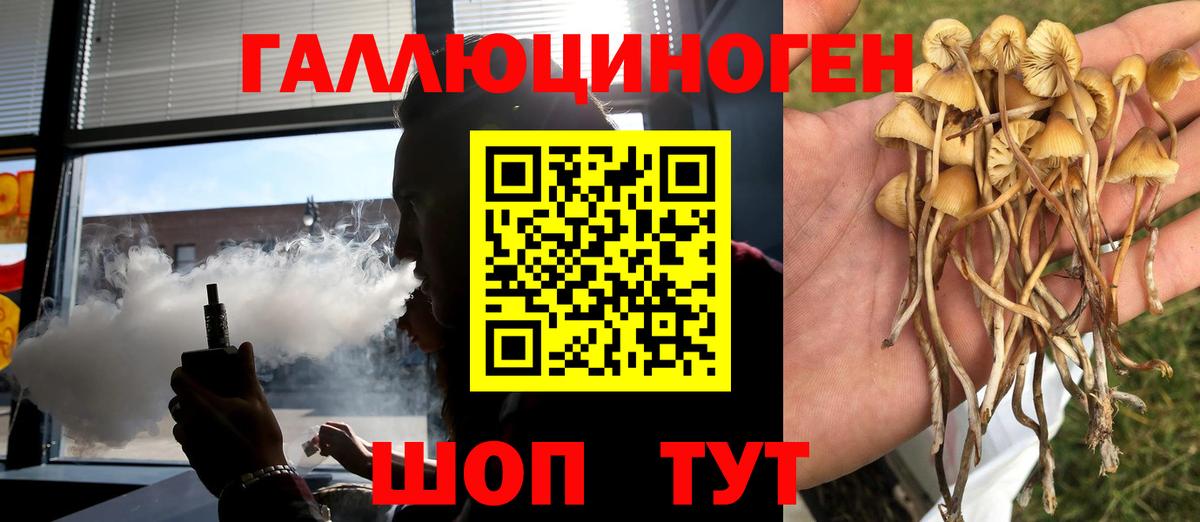 Псилоцибиновые грибы GOLDEN TEACHER Еманжелинск